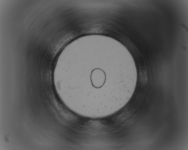 X0000103230534200809251306