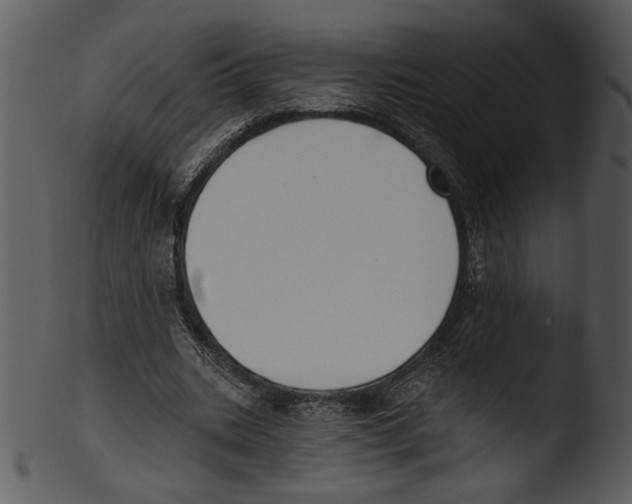 X0000103230535200809251306