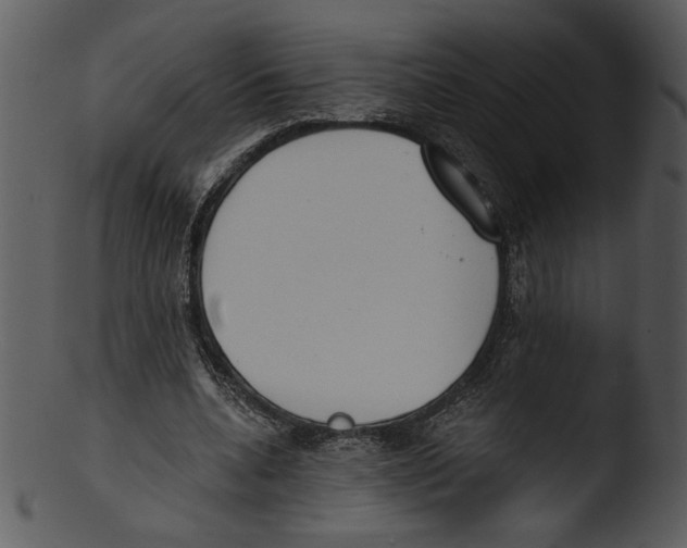X0000103230536200809251306
