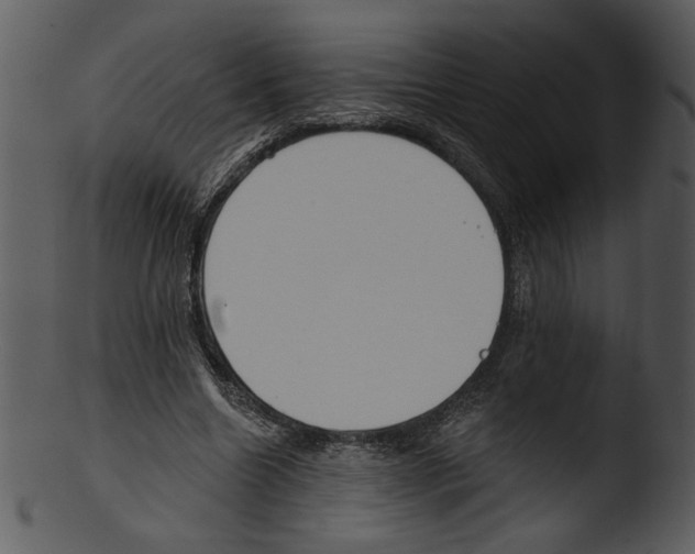 X0000103230538200809251306