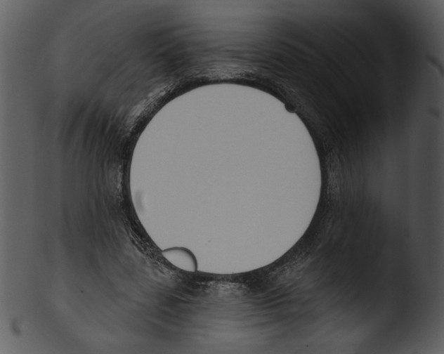 X0000103230539200809251306