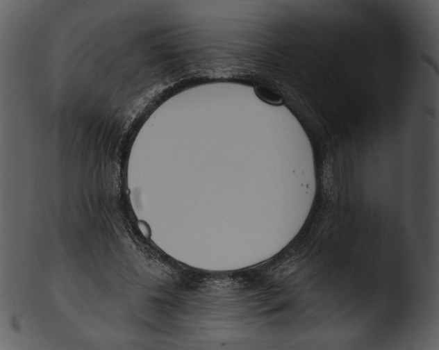 X0000103230540200809251306