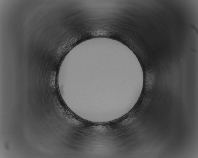 X0000103230545200809251306