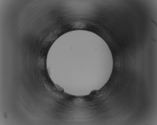 X0000103230551200809251306