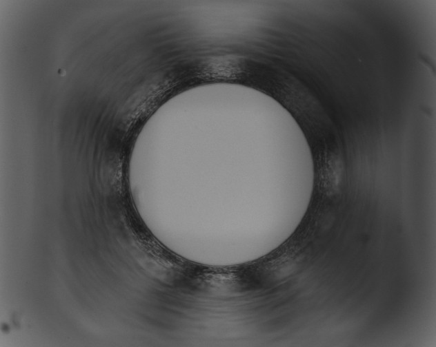 X0000103230552200809251306