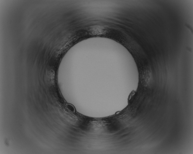 X0000103230556200809251306