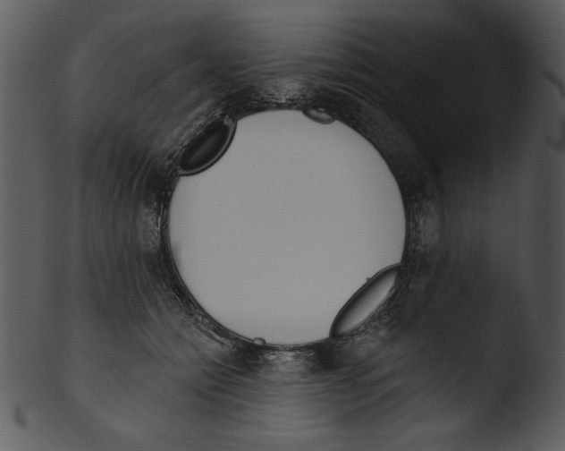 X0000103230558200809251306