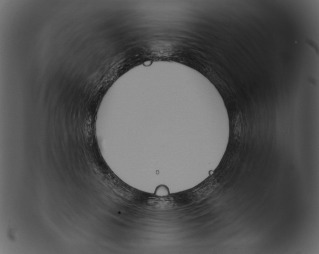 X0000103230559200809251306