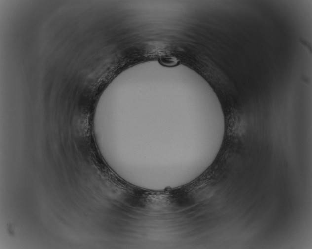 X0000103230560200809251306