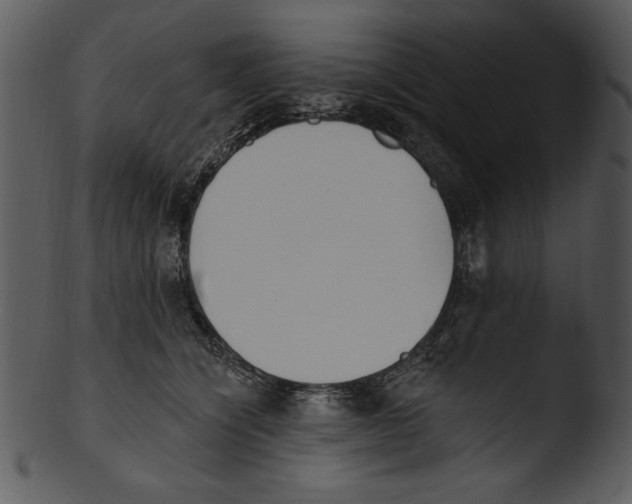 X0000103230564200809251306