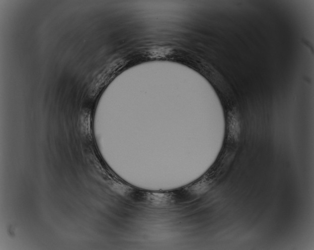 X0000103230565200809251306