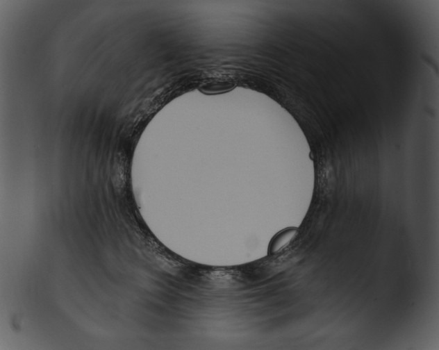 X0000103230566200809251306