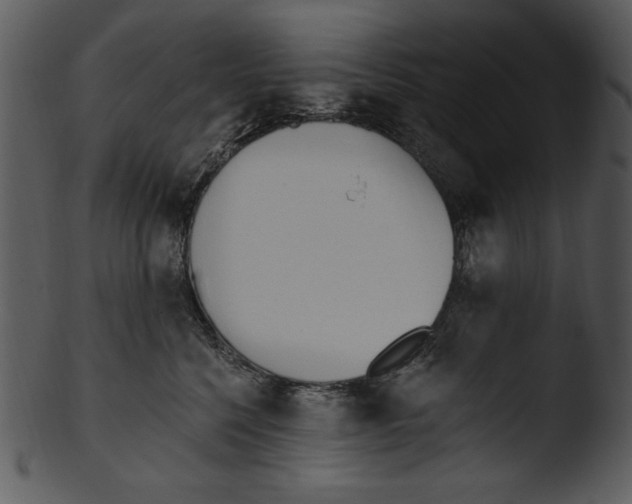 X0000103230568200809251306