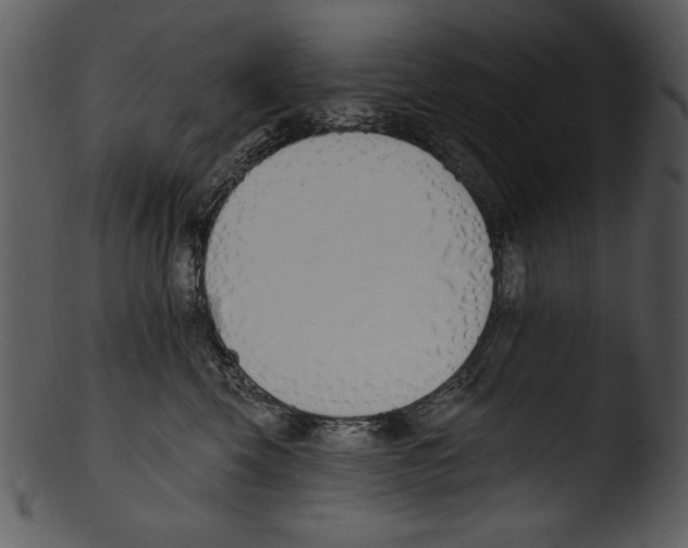 X0000103230569200809251307