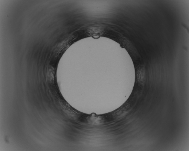 X0000103230570200809251307