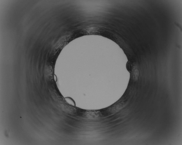 X0000103230571200809251307