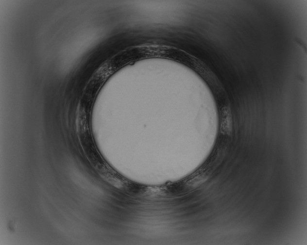 X0000103230573200809251307