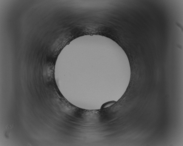 X0000103230576200809251307