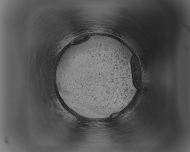 X0000103230577200809251306