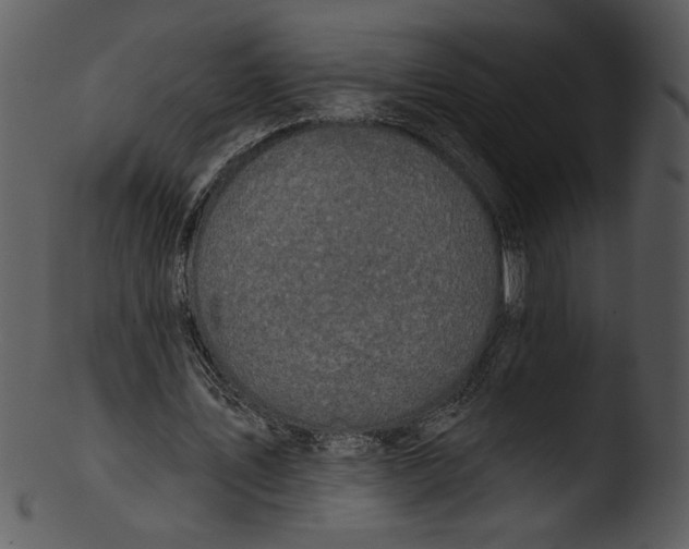 X0000103230579200809251306