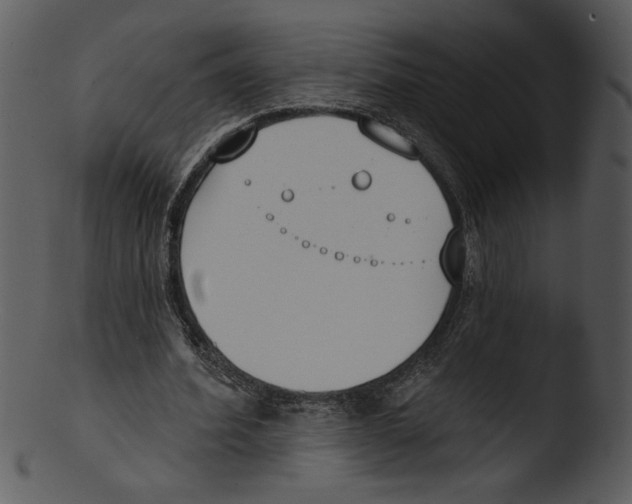 X0000103230580200809251306