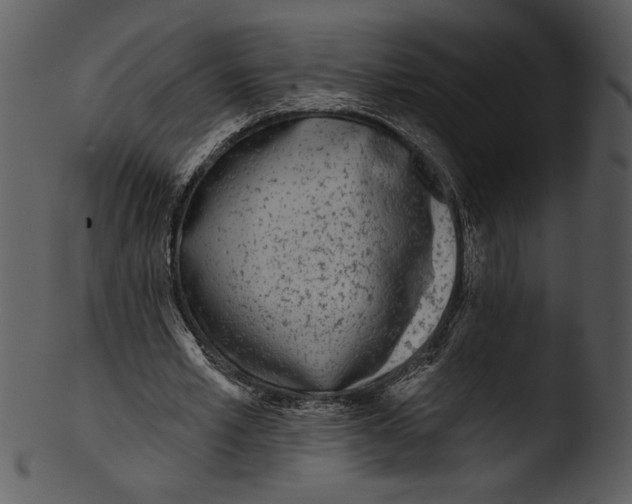 X0000103230581200809251306
