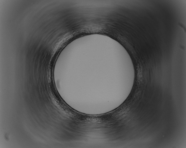 X0000103230582200809251306