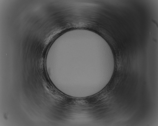 X0000103230583200809251306