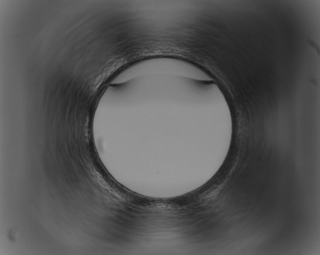 X0000103230585200809251306