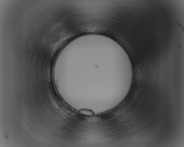 X0000103230587200809251306