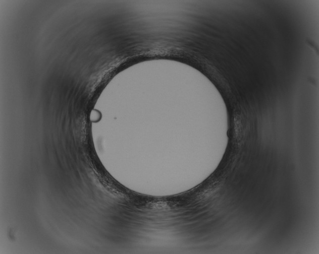 X0000103230588200809251306
