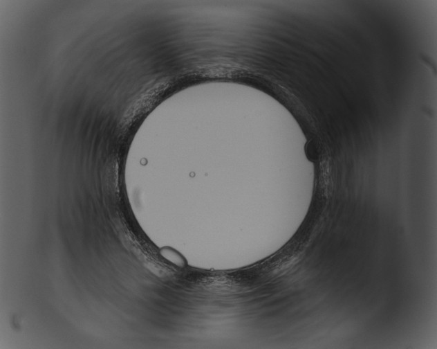 X0000103230589200809251306