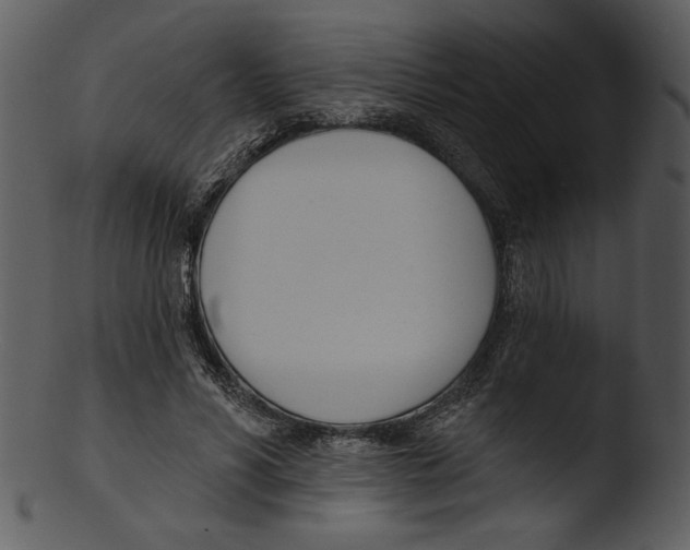 X0000103230590200809251306