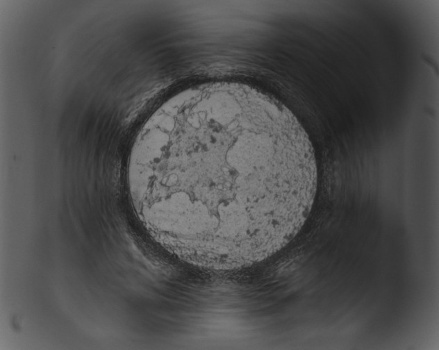 X0000103230592200809251306