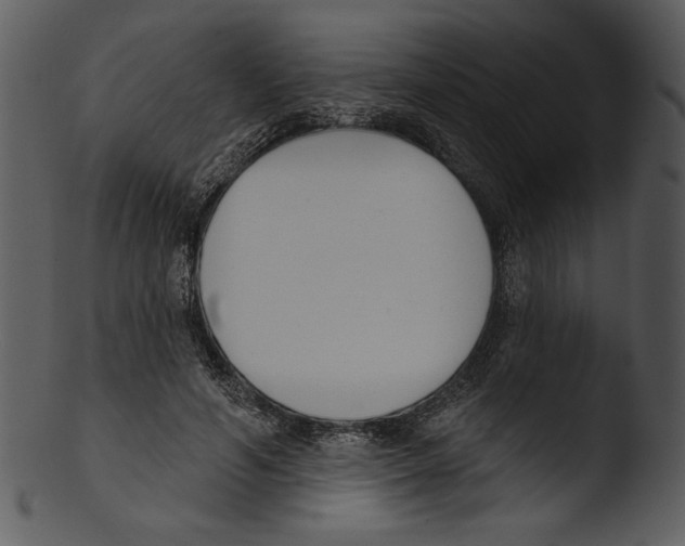 X0000103230594200809251306