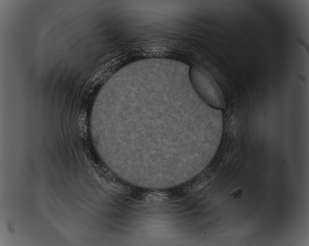 X0000103230599200809251306