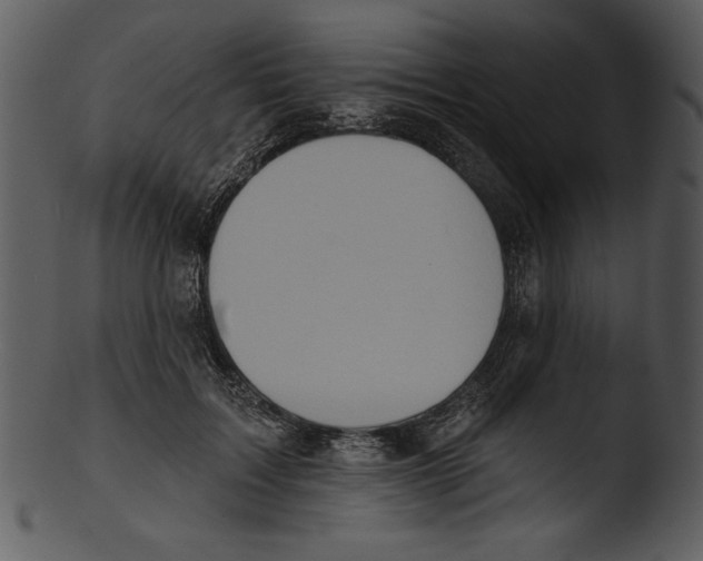 X0000103230603200809251306