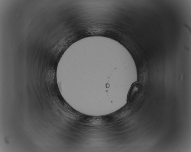 X0000103230604200809251306