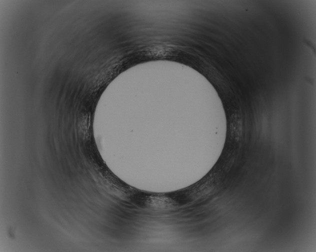 X0000103230605200809251306