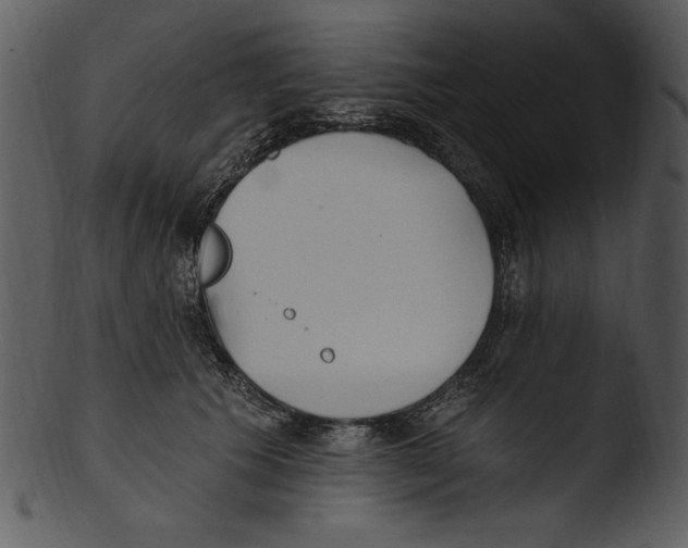 X0000103230609200809251306