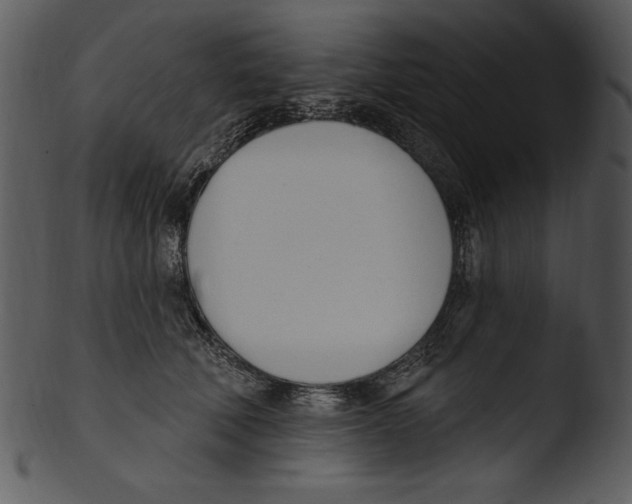 X0000103230610200809251305