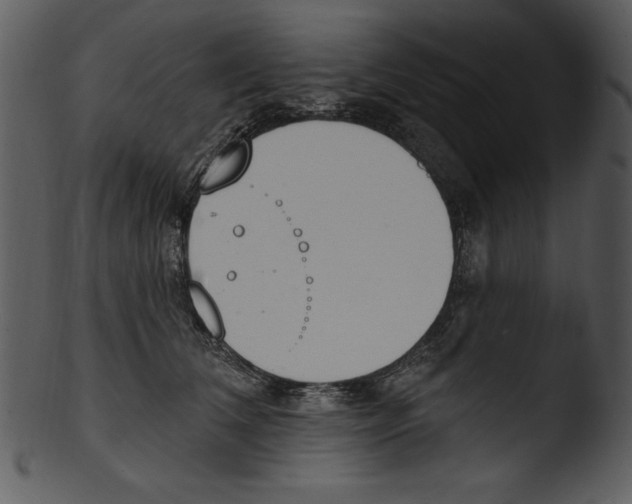 X0000103230612200809251305