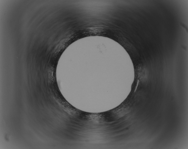 X0000103230615200809251305