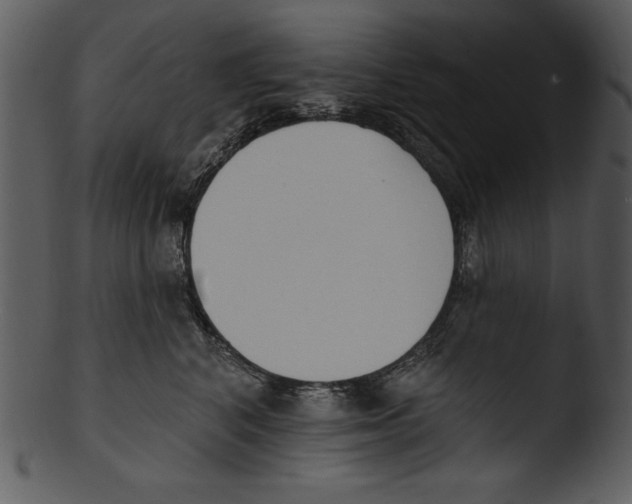 X0000103230616200809251305