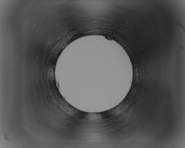X0000103230617200809251305