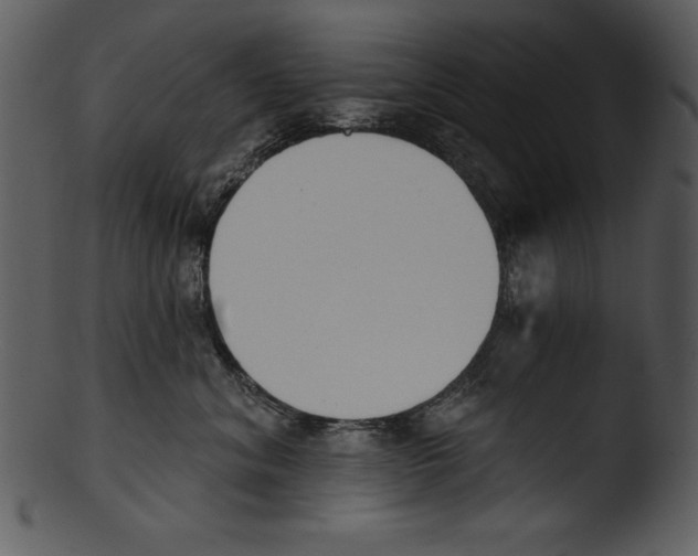 X0000103230620200809251305