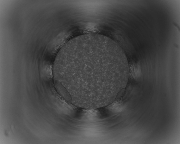 X0000103230621200809251305