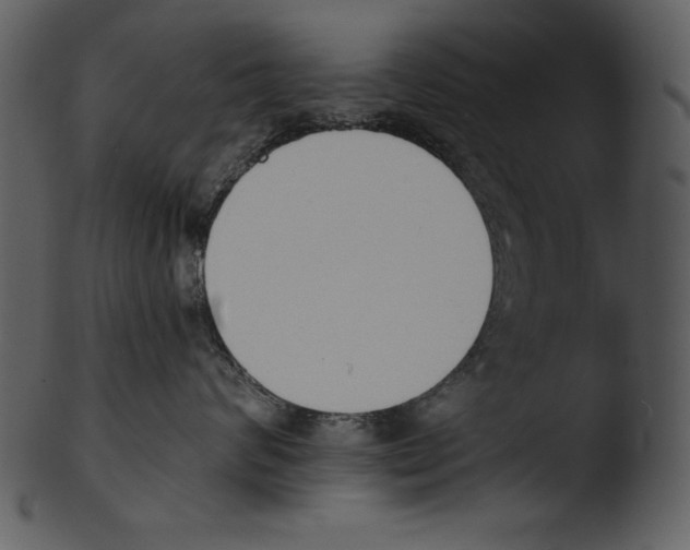 X0000103230624200809251305
