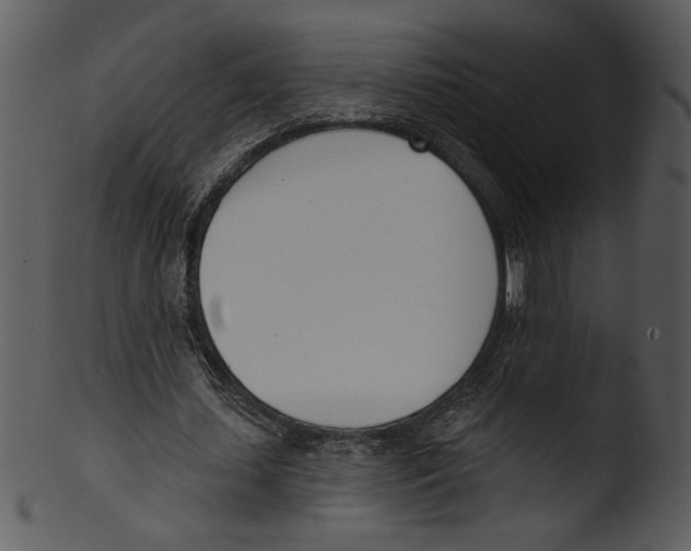 X0000103230627200809251305