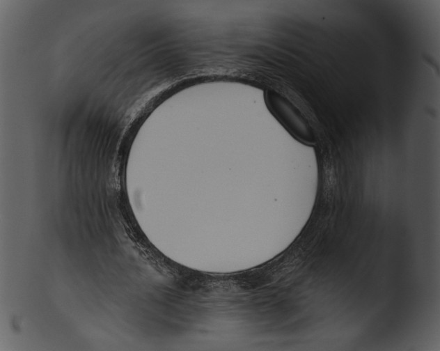 X0000103230628200809251305